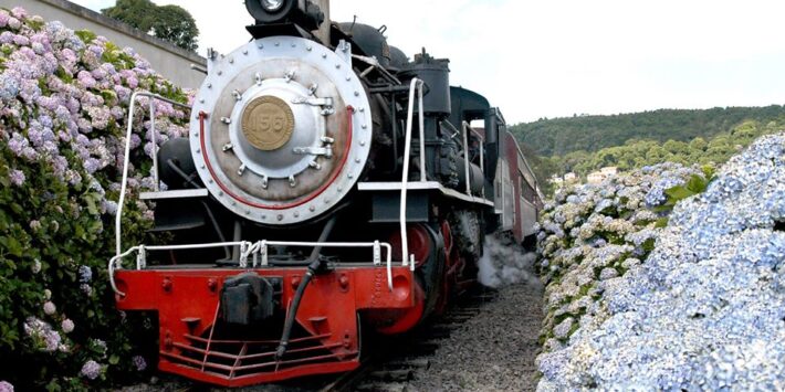 Gramado Receptivo – Tour Uva e Vinho completo + Maria Fumaça. De R$529,90 por R$369,90- TOP OFERTAS